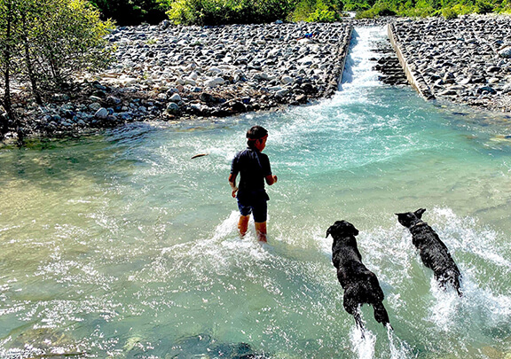 きれいな川で遊ぶ子どもと犬