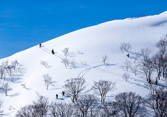 真っ白な雪山でスキーをする人々