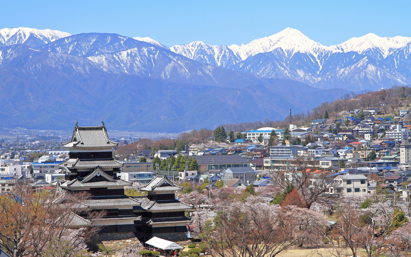松本城