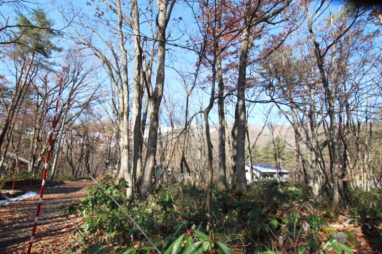 みそら野　売土地