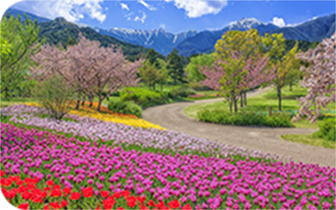 国営アルプスあづみの公園